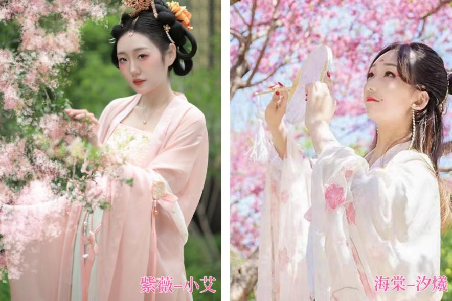 临清宛园花朝节,宛园花朝节门票