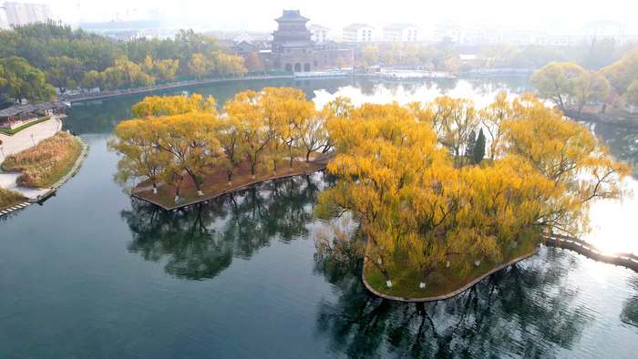 深秋的济南趵突泉公园五彩斑斓,济南趵突泉泉水欢涌游人如织