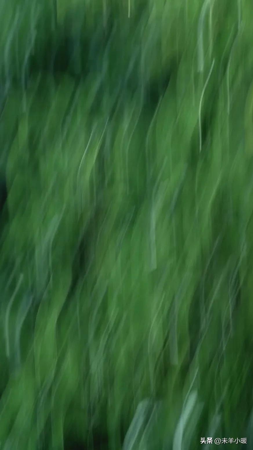 超清超美独一无二手机壁纸图片,养眼养心的壁纸