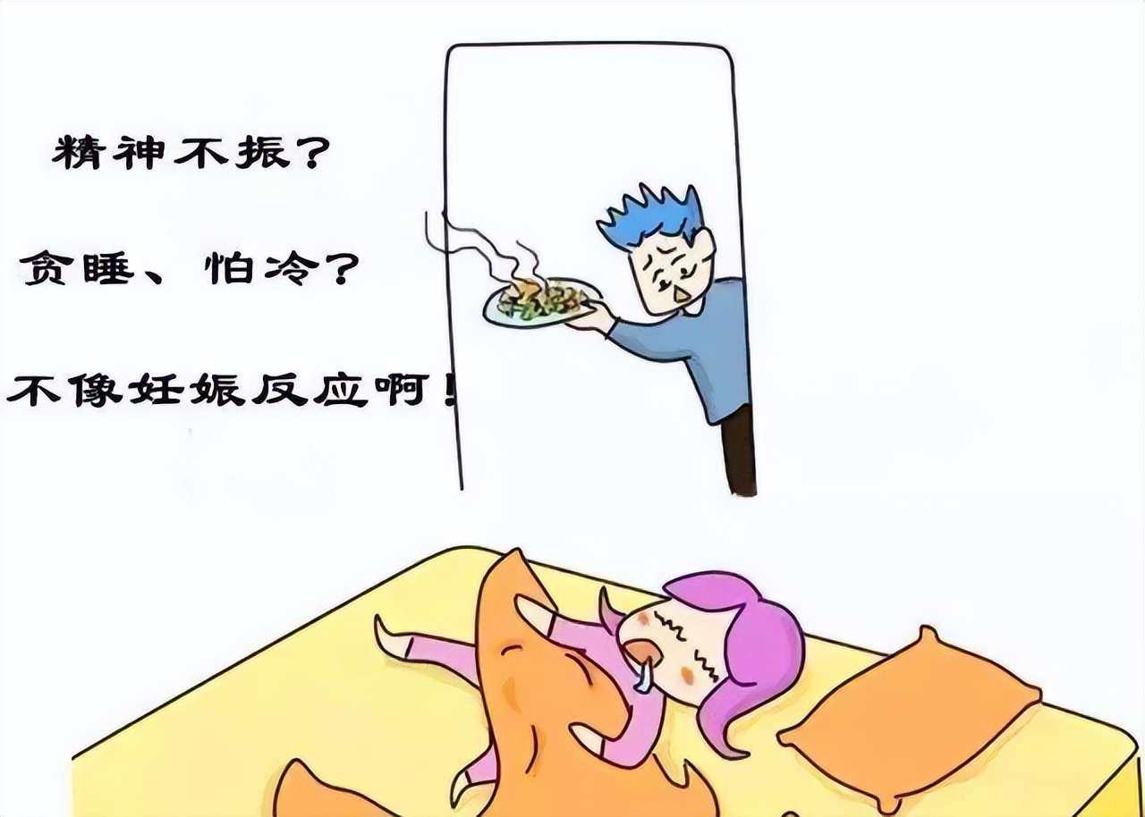 甲减患者怀不了男孩,得了甲减怎样能尽快怀上孩子