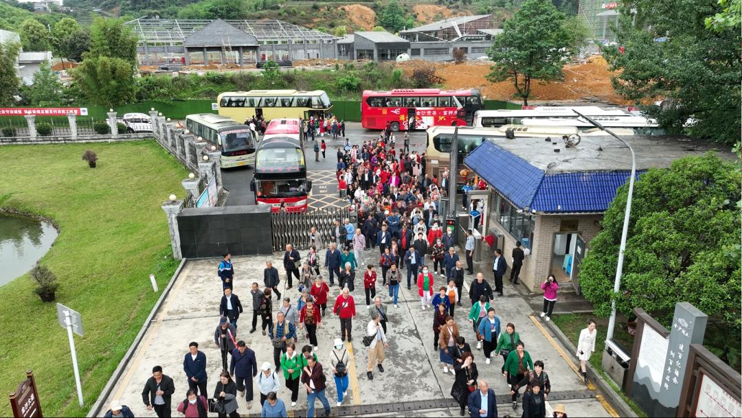 【金沙贡茶】“醉美金沙旅游季”|逛贡茶城游生态园品酱香酒