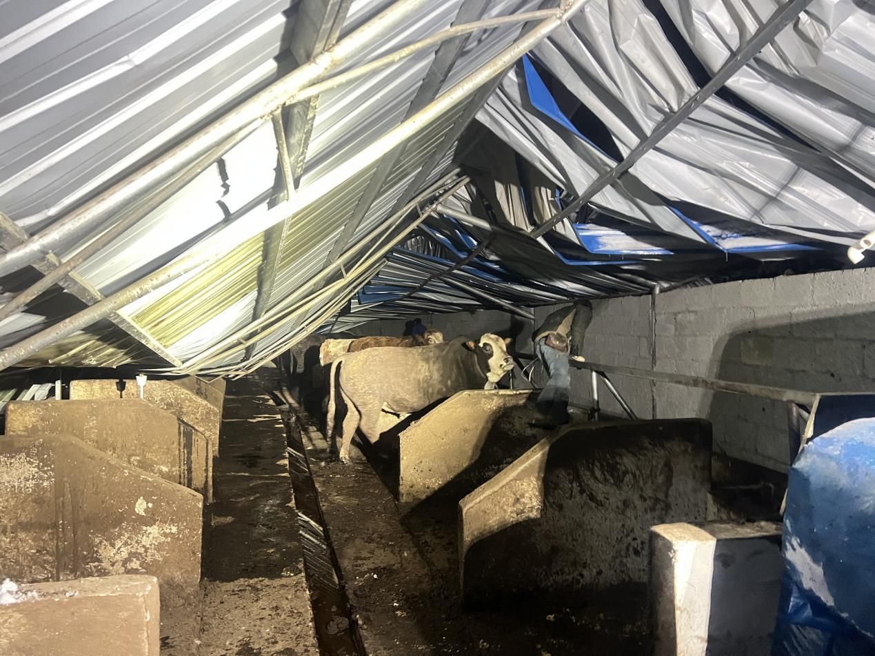 2023年是黑兔年还是木兔年,2023年被称为黑兔年为什么