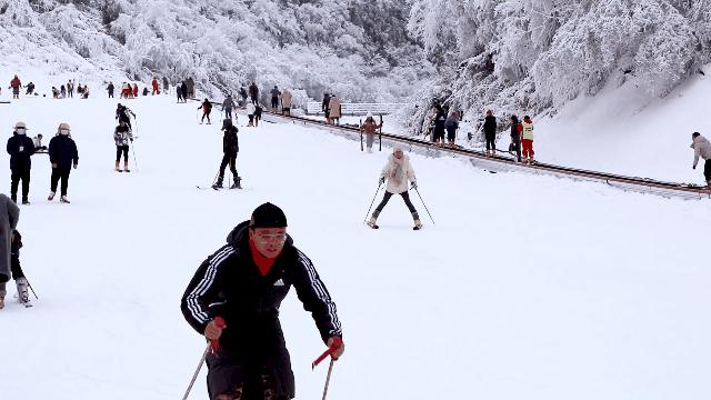 金佛山玩雪自驾攻略,去金佛山看雪怎么玩