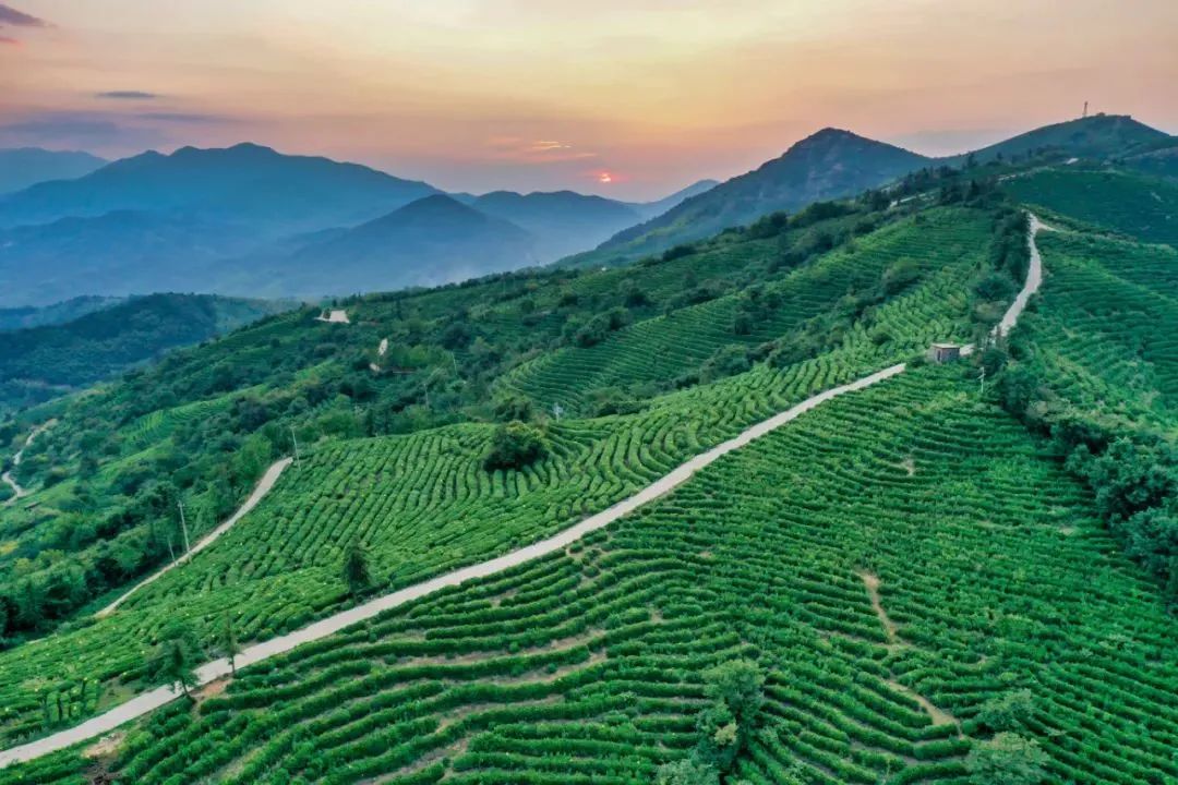 西九华山冬天风景区,西九华山夏季攻略