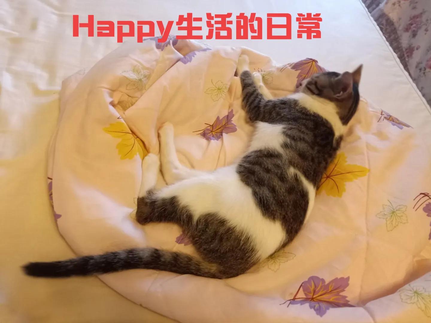happy鎴戠殑濂冲鎻掓洸,浣爃appy鎴戜篃happy