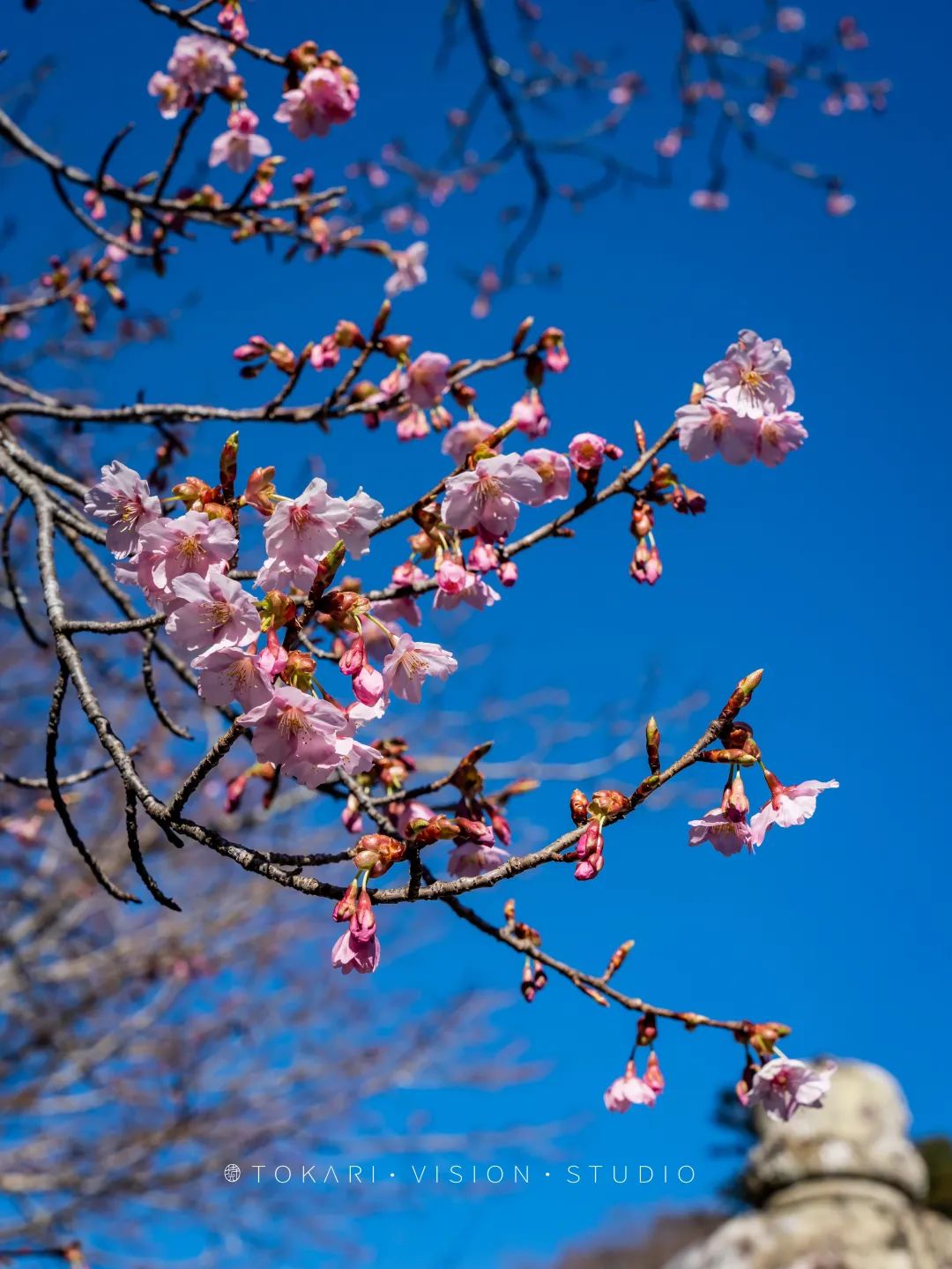 伊豆半岛两日游攻略,日本伊豆跟团旅游攻略