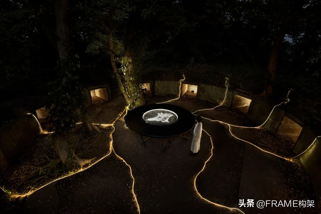 一周最受欢迎|Aesop多伦多体验店、哥伦比亚公寓、日本TreeSays