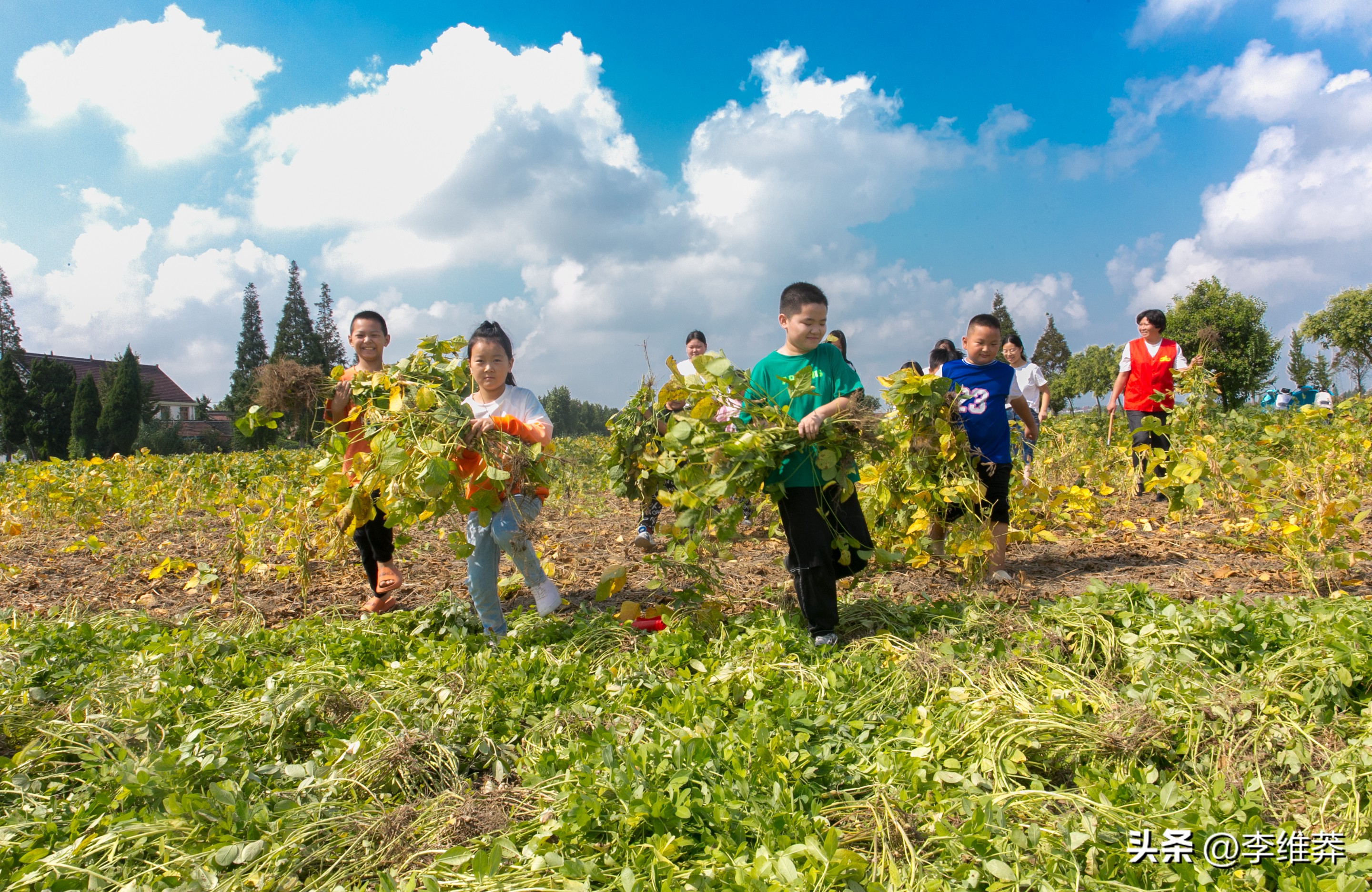 教师资格证有了怎么报考教师岗位,考教师资格证能当什么老师