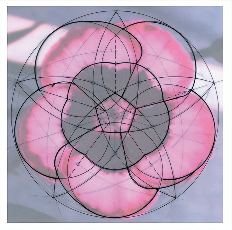 花朵的秘密使命思维导图,花朵的秘密花由哪些部分组成