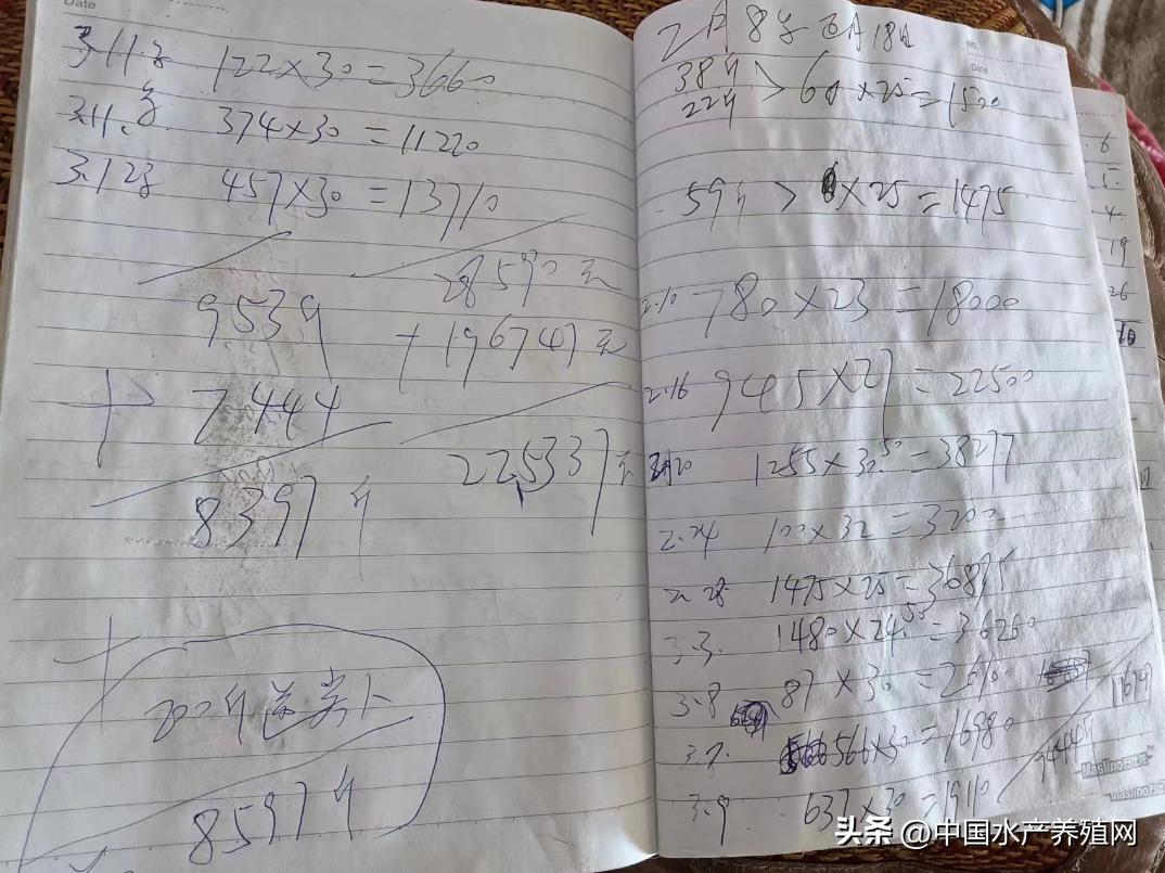 200平室内养殖致富项目,新手养殖4亩白对虾成本多少钱