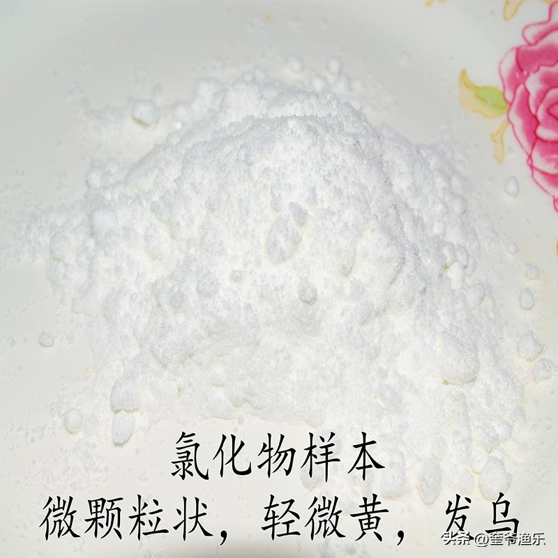 dmpt对鱼是否真实有效,dmpt对鱼饵料的作用