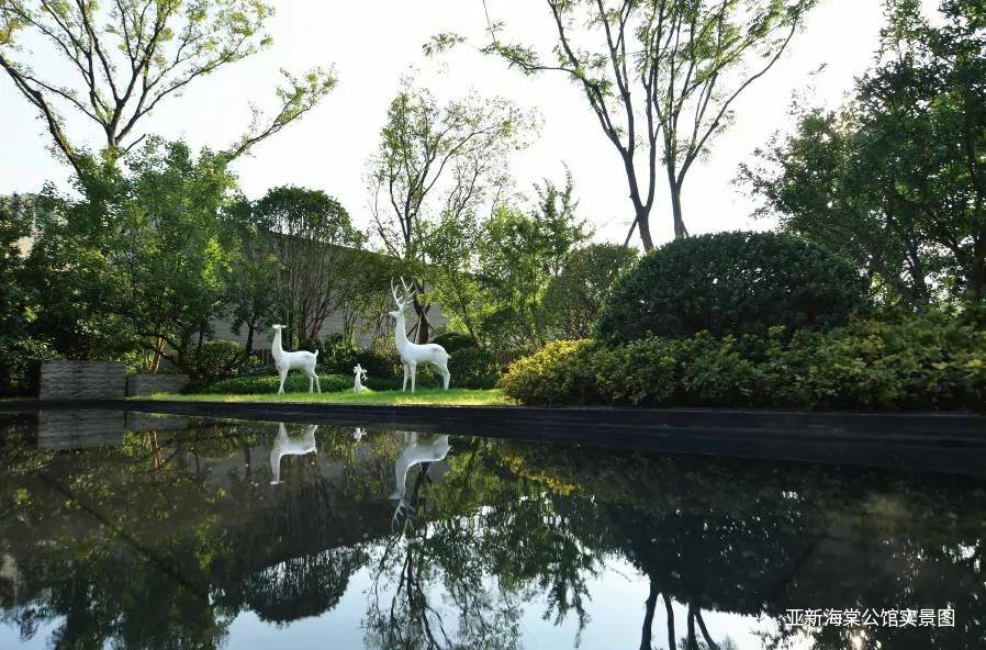 亚新茉莉公馆与海棠公馆怎么选,茉莉公馆海棠公馆