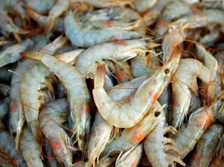 江苏淮安特产酒,江苏淮安特产方便携带