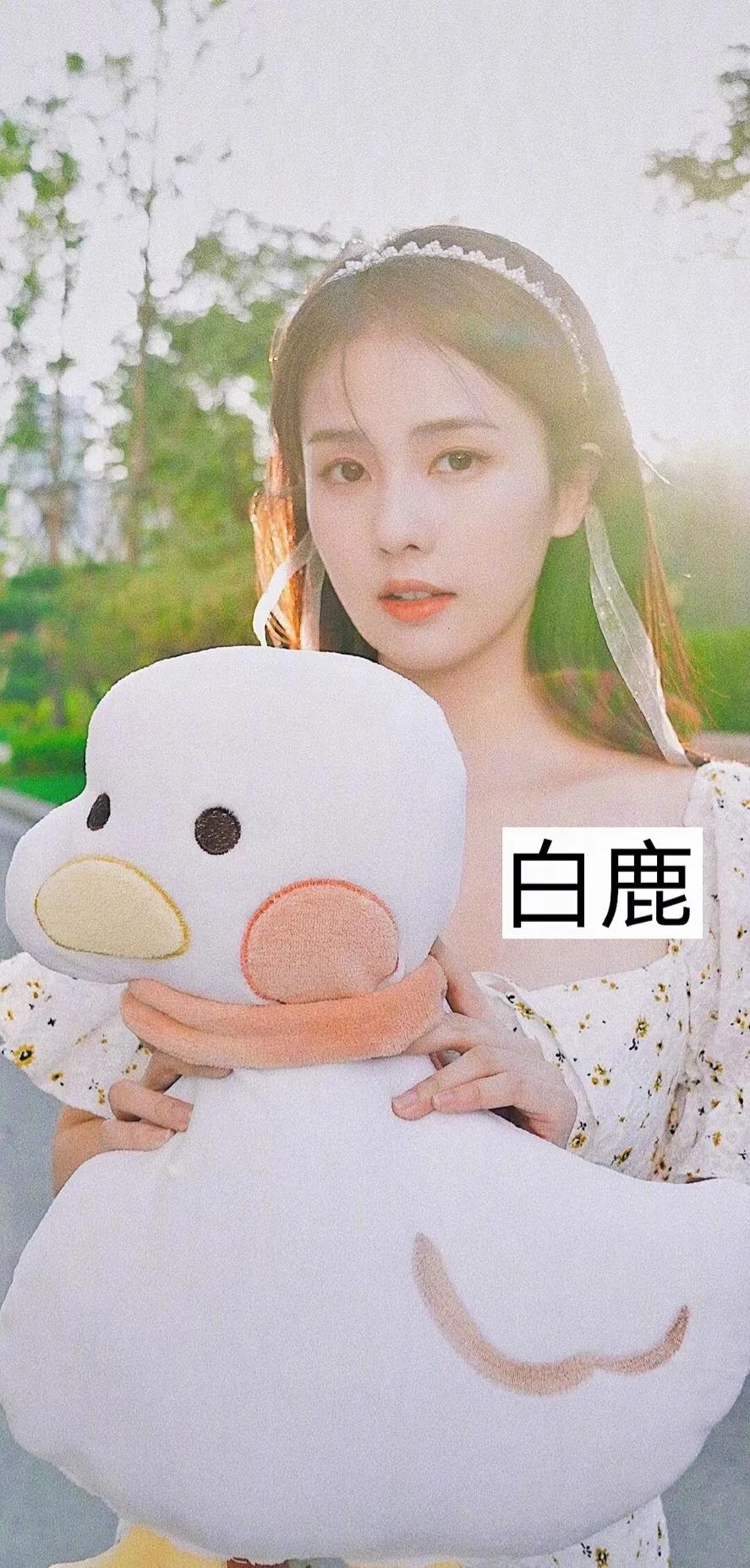 新晋女明星玩偶,毛绒玩偶女明星