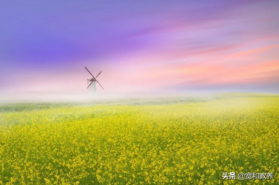 孩子不爱洗脸怎么引导,孩子不爱刷牙洗脸怎么办