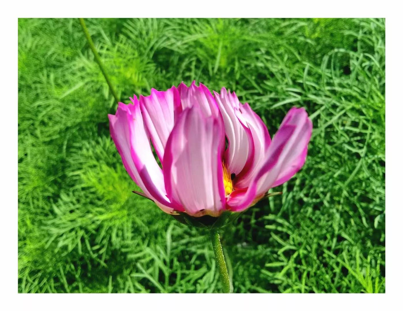 我和女局长的一段往事(小小说)