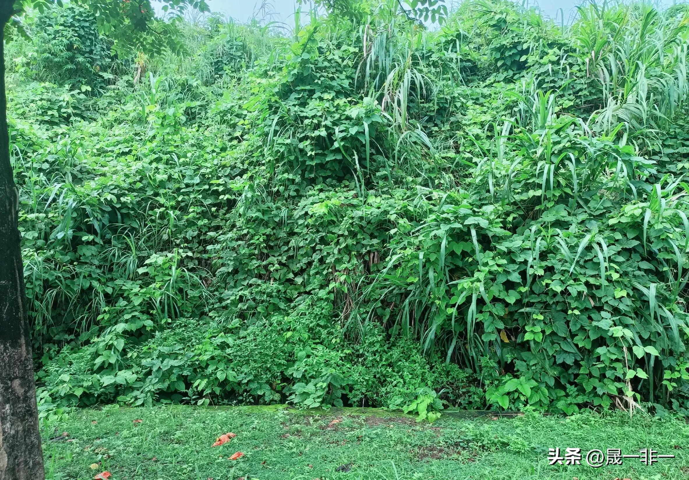 20天宝宝拉绿色的便便是什么原因,宝宝拉绿色便便什么原因该怎么办