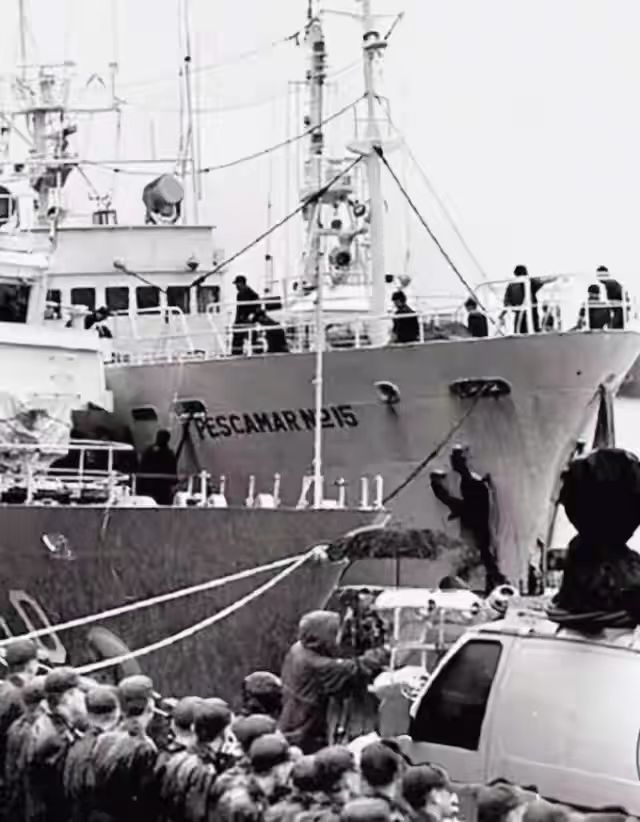 中国渔民杀韩国船长船员事件,韩国渔船船长被杀事件