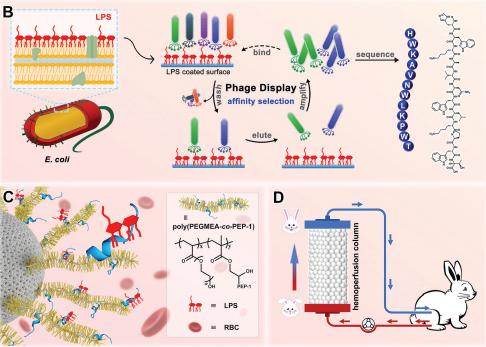 中国科学院分离纯化技术,中国科学院研究干细胞治疗
