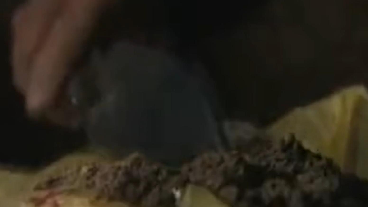 六旬老人晕倒医生急救援,八旬医生抢救老人