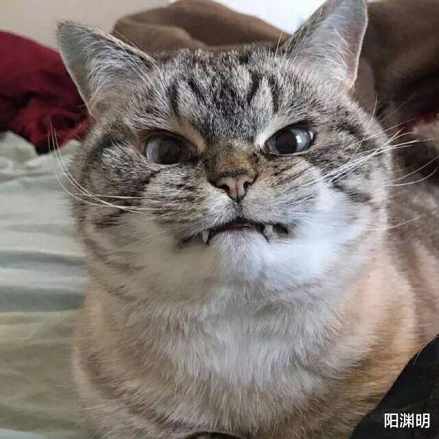 pua是如何达到精神控制的,pua精神到底有多可怕