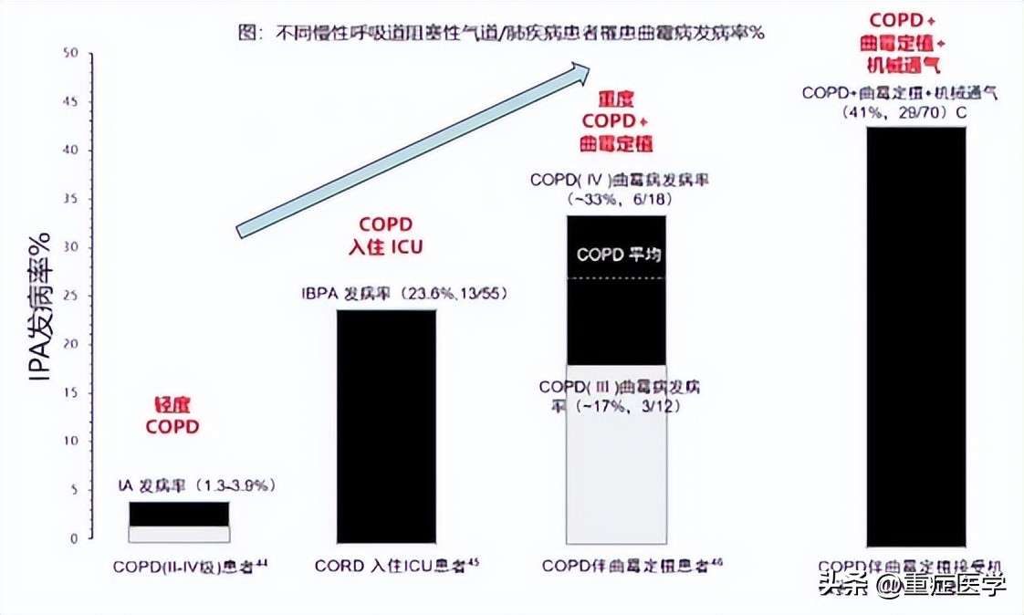 施毅最新讲座视频,施毅医生怎么样