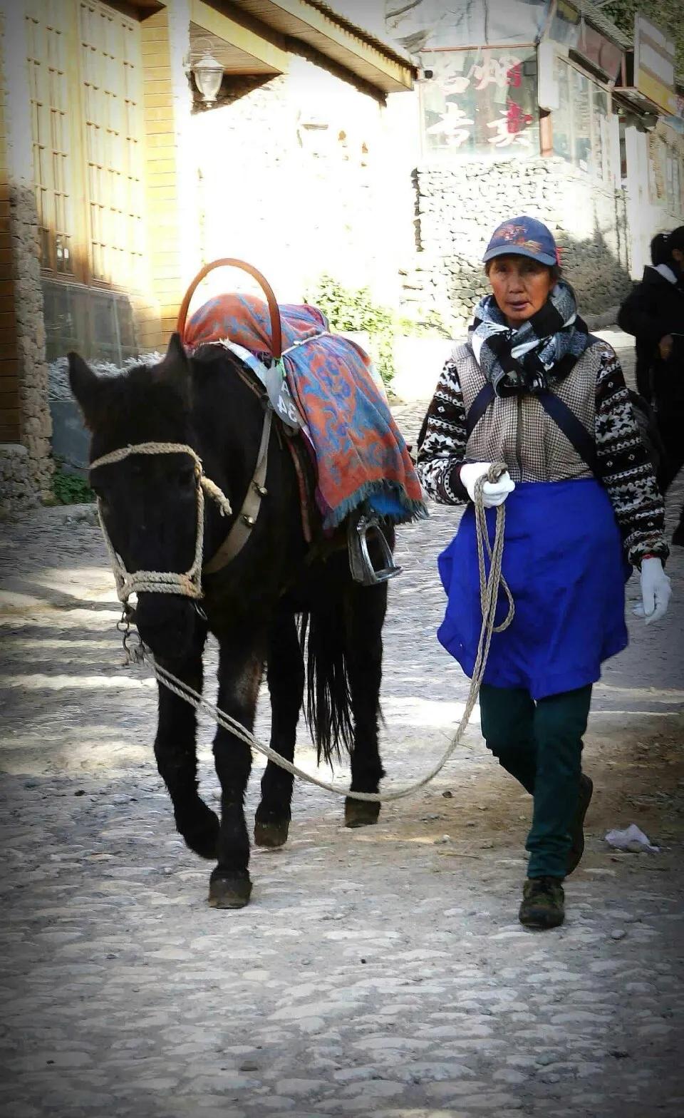 丽江玉湖村游记,丽江玉龙雪山玉湖村游玩攻略