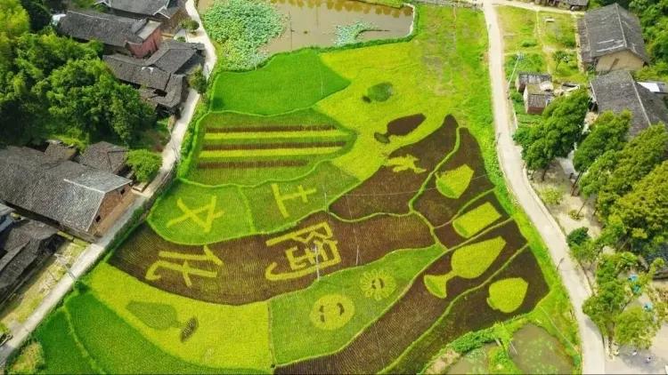 春节出游必看！温州这12条特色线路诚意满满，带你玩转虎年春节！