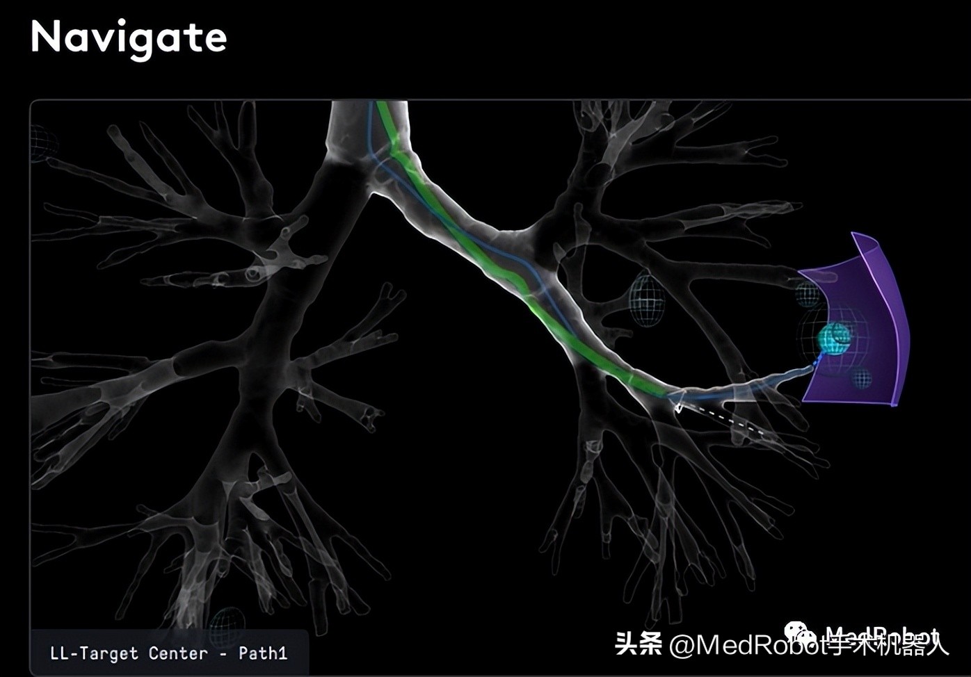 100种仿生机器人,最新全自动机器人