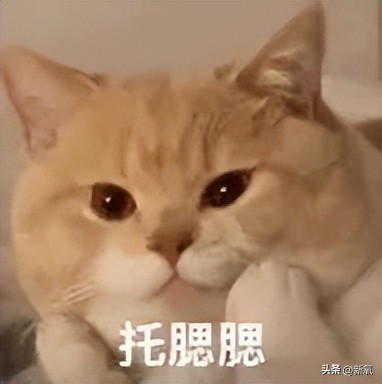 嘴唇薄变丰满,嘴唇变凸变丑怎么办