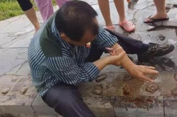 在野外遇到猛兽该怎么自救沙雕,教你在野外遇到鳄鱼怎么应对