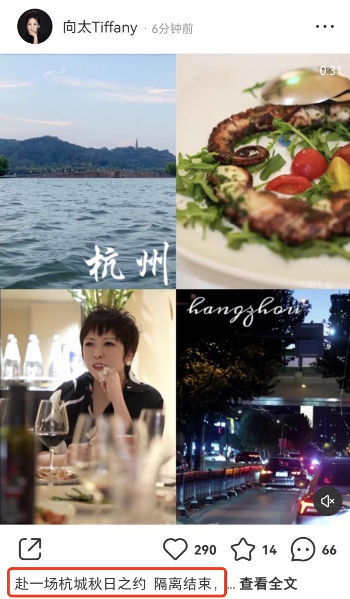 向太事业版图扩张，前往杭州买地盖房子做生意，亲自参与品牌设计