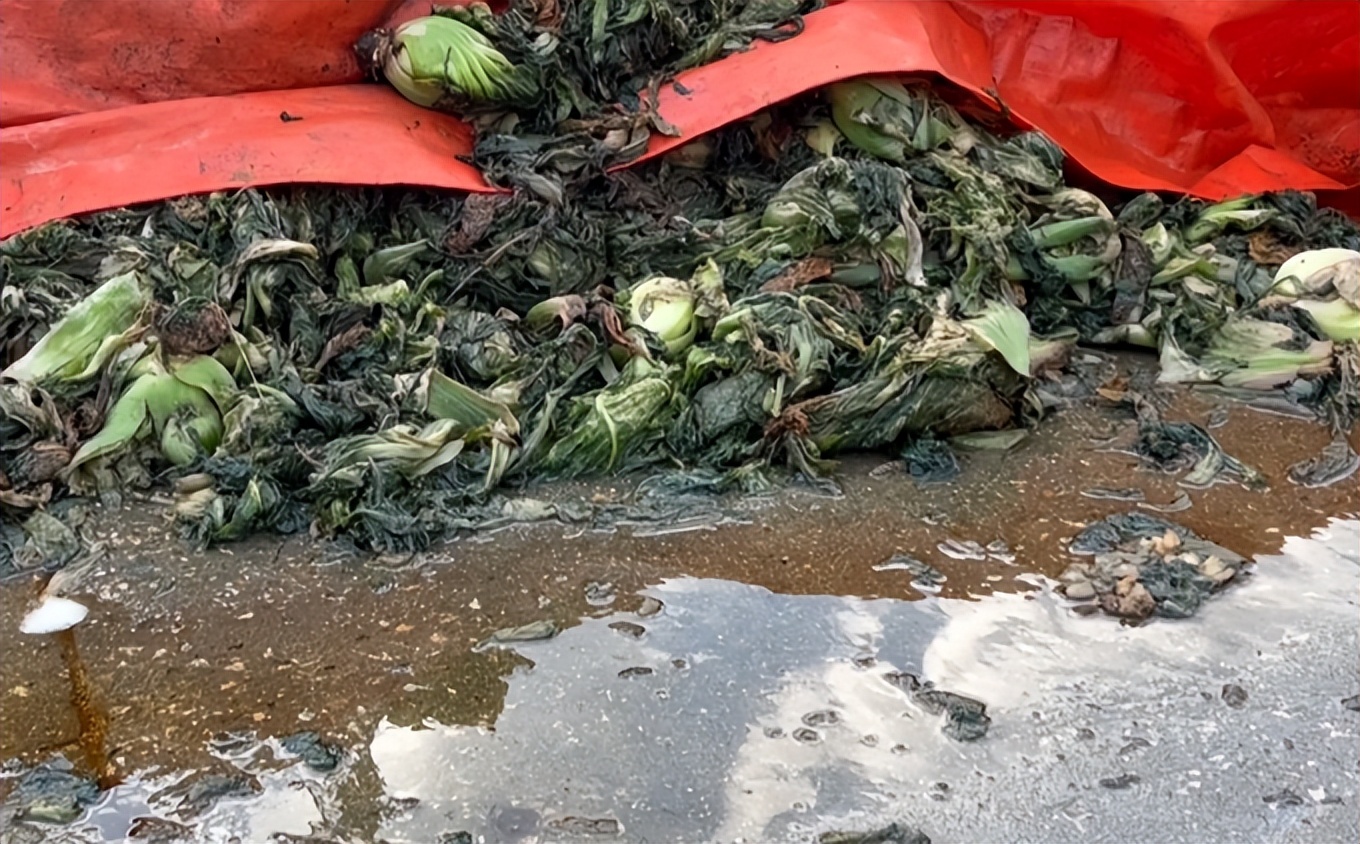 聚焦315消费者权益日橄榄菜案例,315曝光的橄榄菜是怎么回事