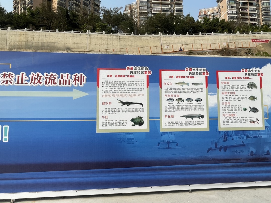 广西梧州市老码头,梧州老码头河鱼