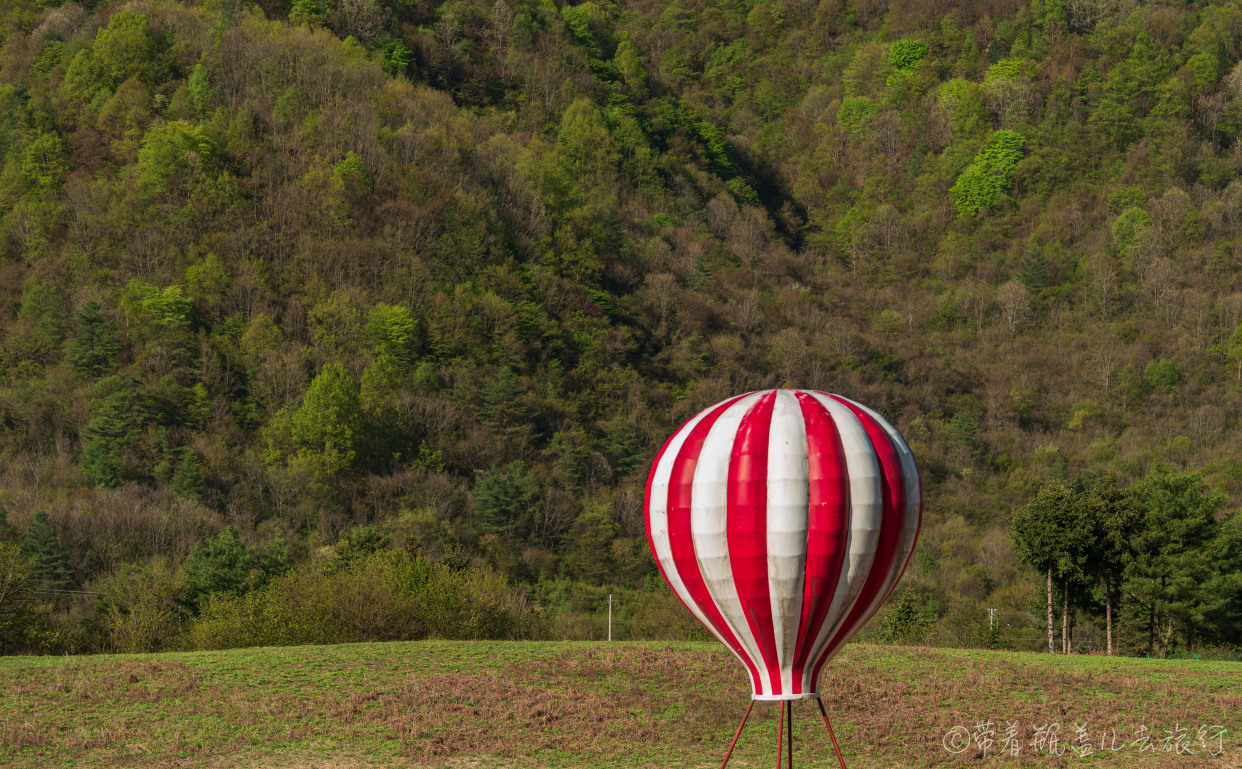 巫溪红叶自驾游,巫溪红池坝云中花海景点讲解