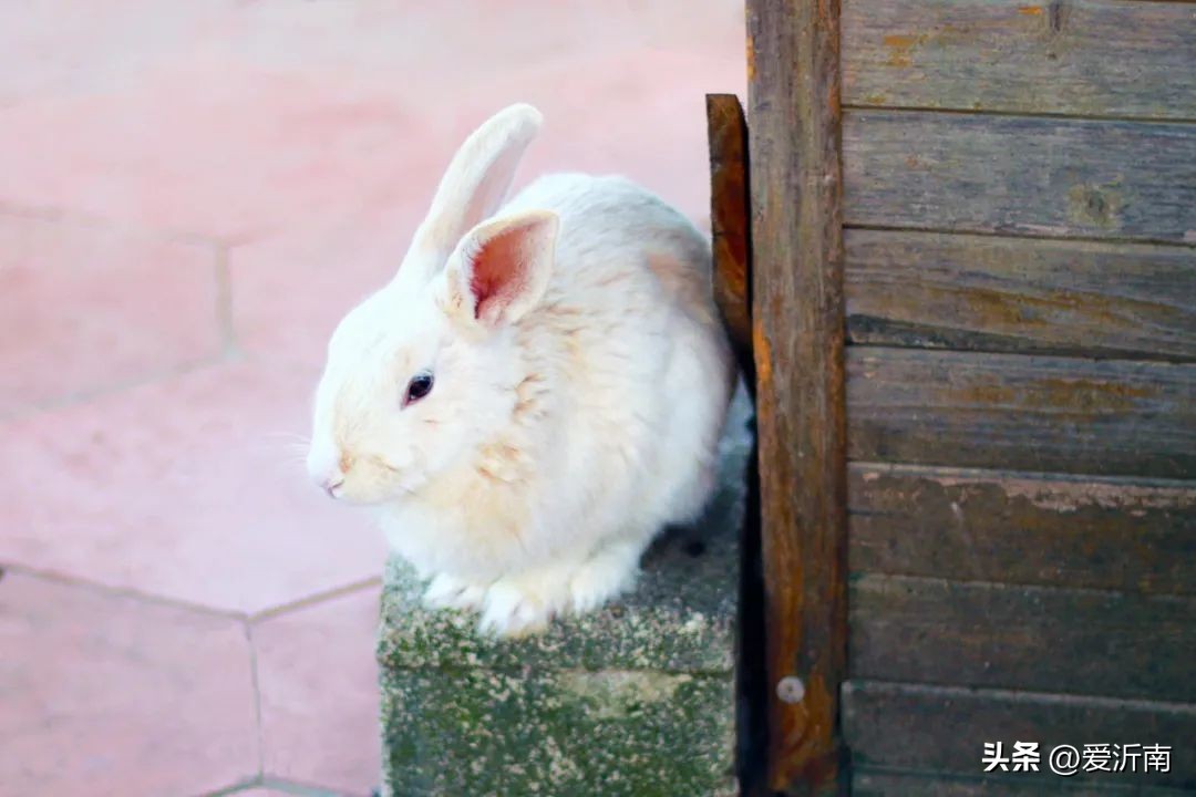 幽默笑话段子看完就想笑,年度最佳幽默笑话笑晕了