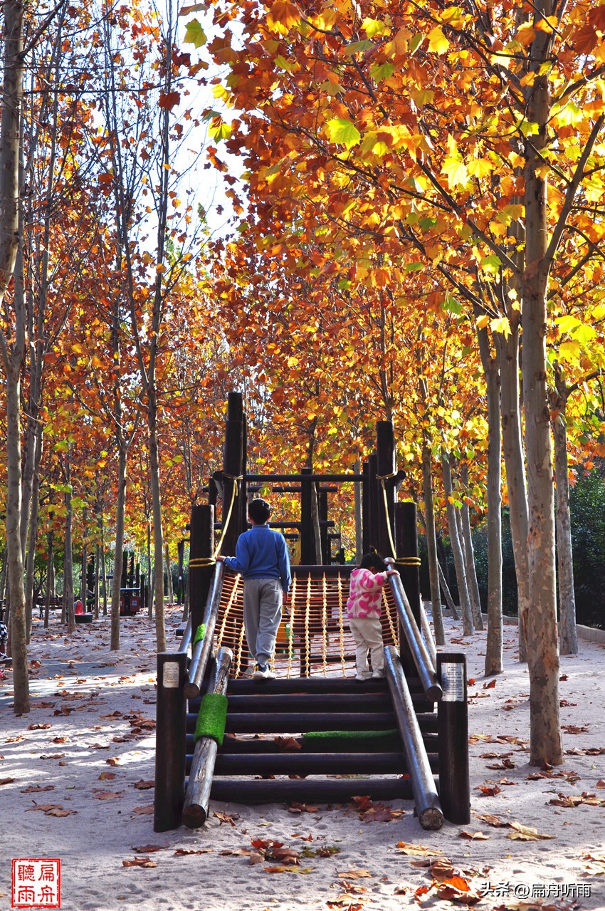 7月郑州凉快遛娃公园排行榜,郑州龙子湖避暑遛娃的地方