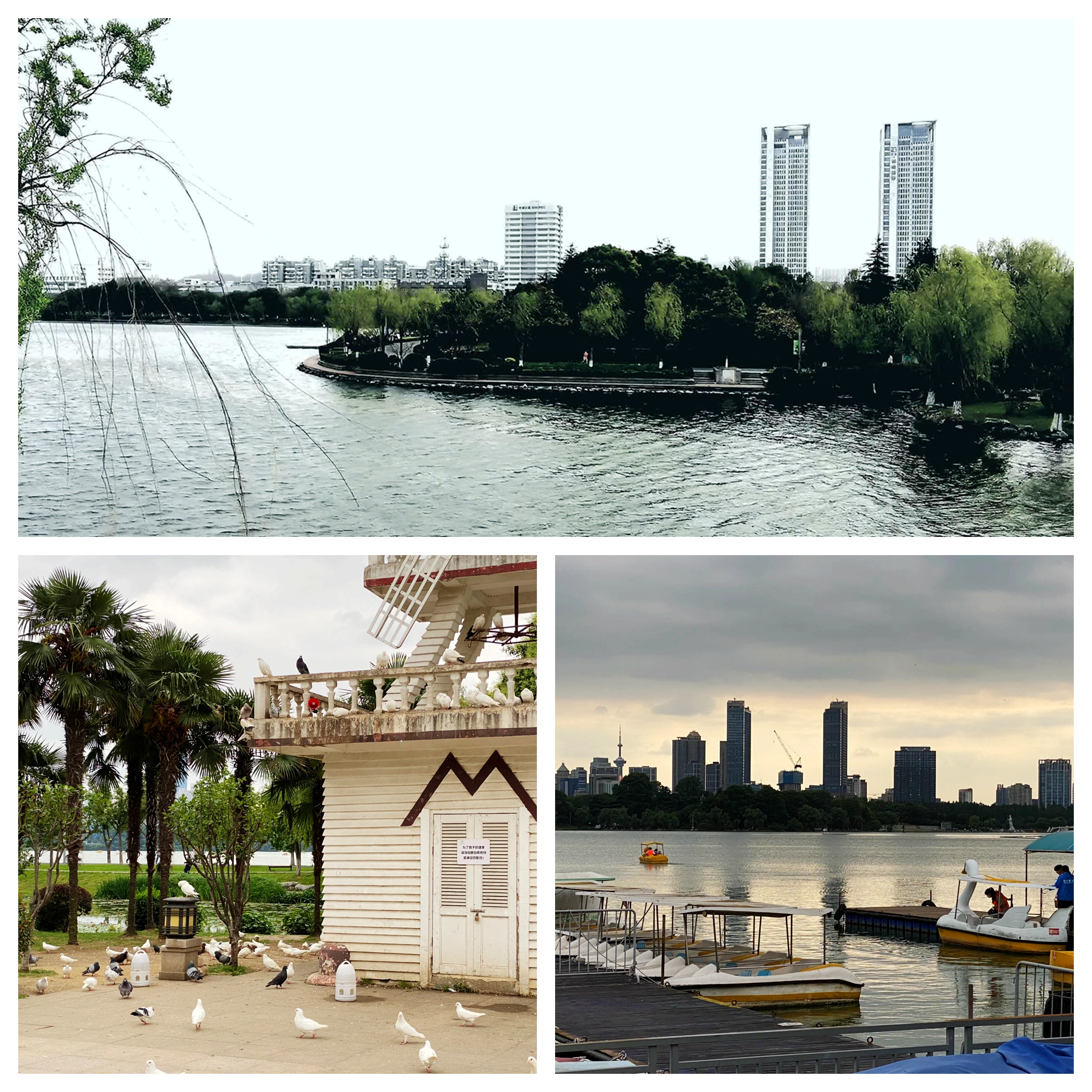 金陵明珠玄武湖,金陵明珠