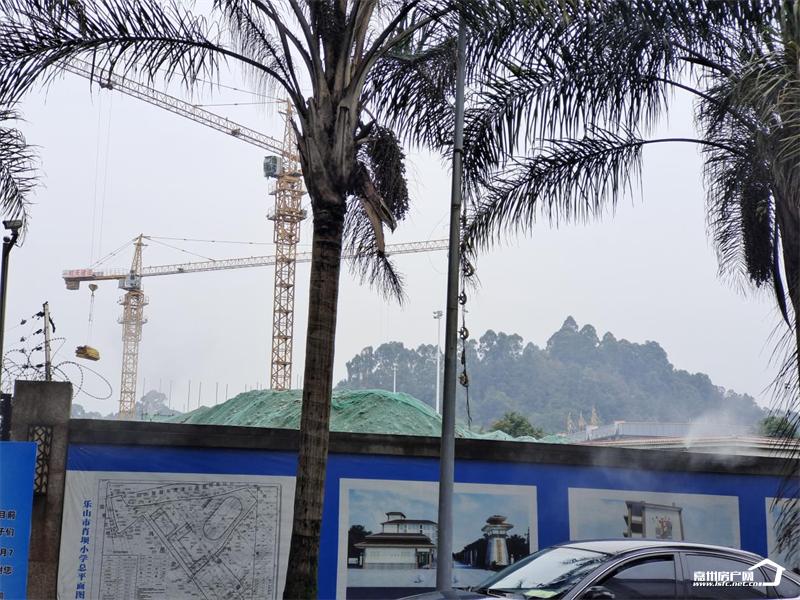 乐山公办五年一贯制学校有哪些,乐山最新规划的学校