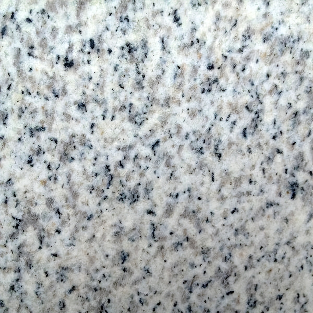 山东白麻石材厂家,白麻石材生产厂