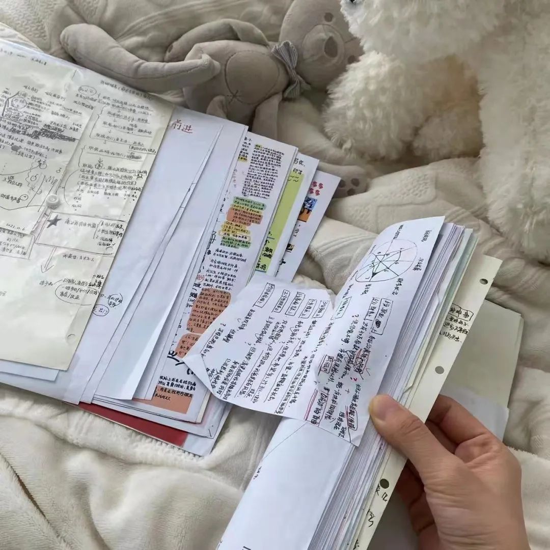 2022年这些瞬间温暖了我们,2022年的一切回顾