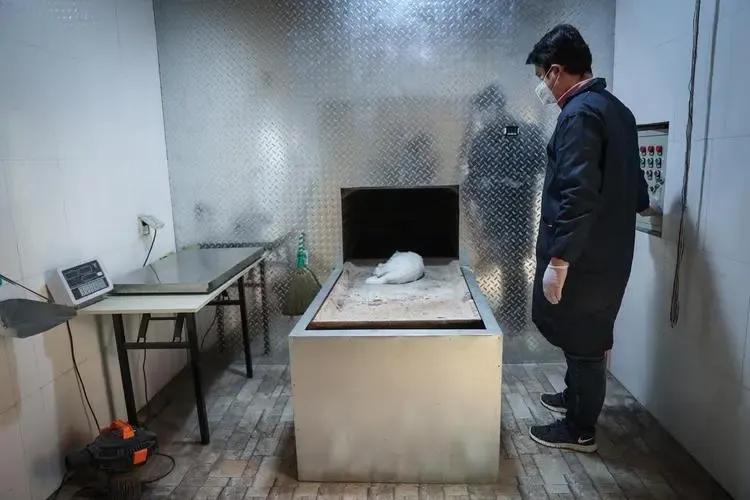 宠物殡葬行业前景,宠物殡葬一般费用多少