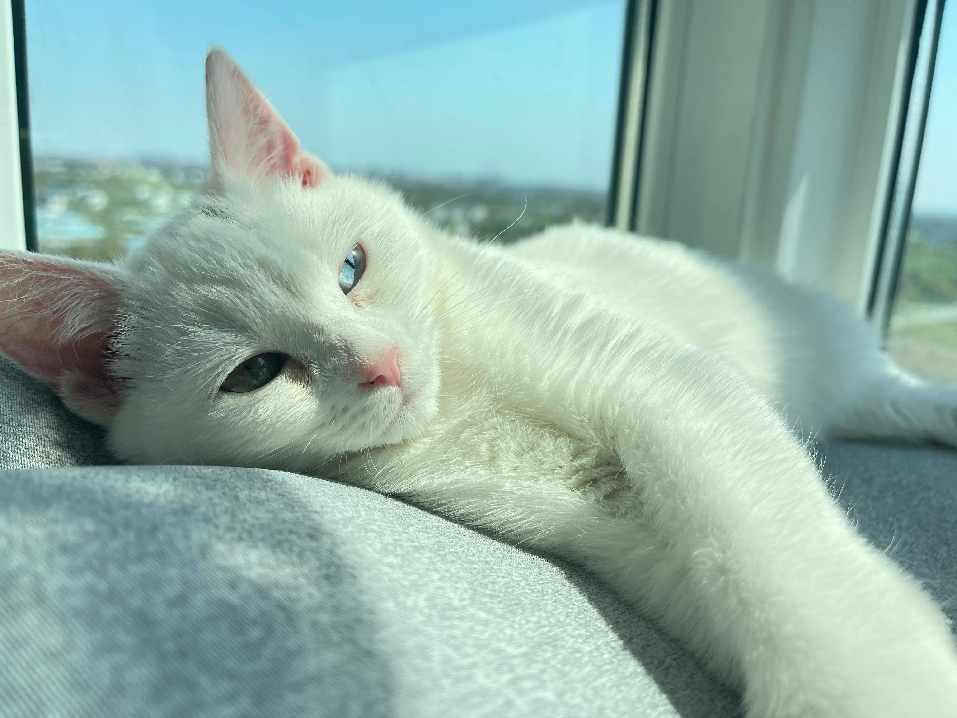 人类的狂妄自大,人类狂妄的句子