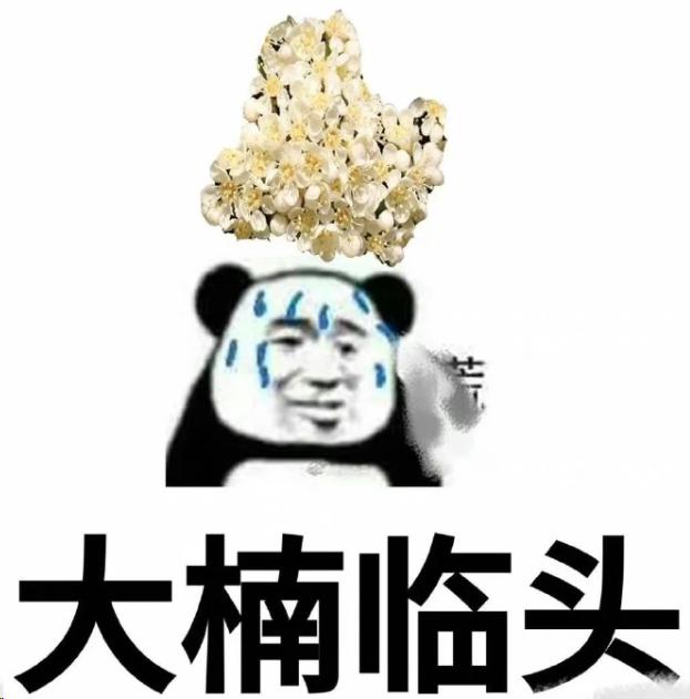 郑州为什么要种那么多石楠花,园林专家说石楠花除了臭没缺点