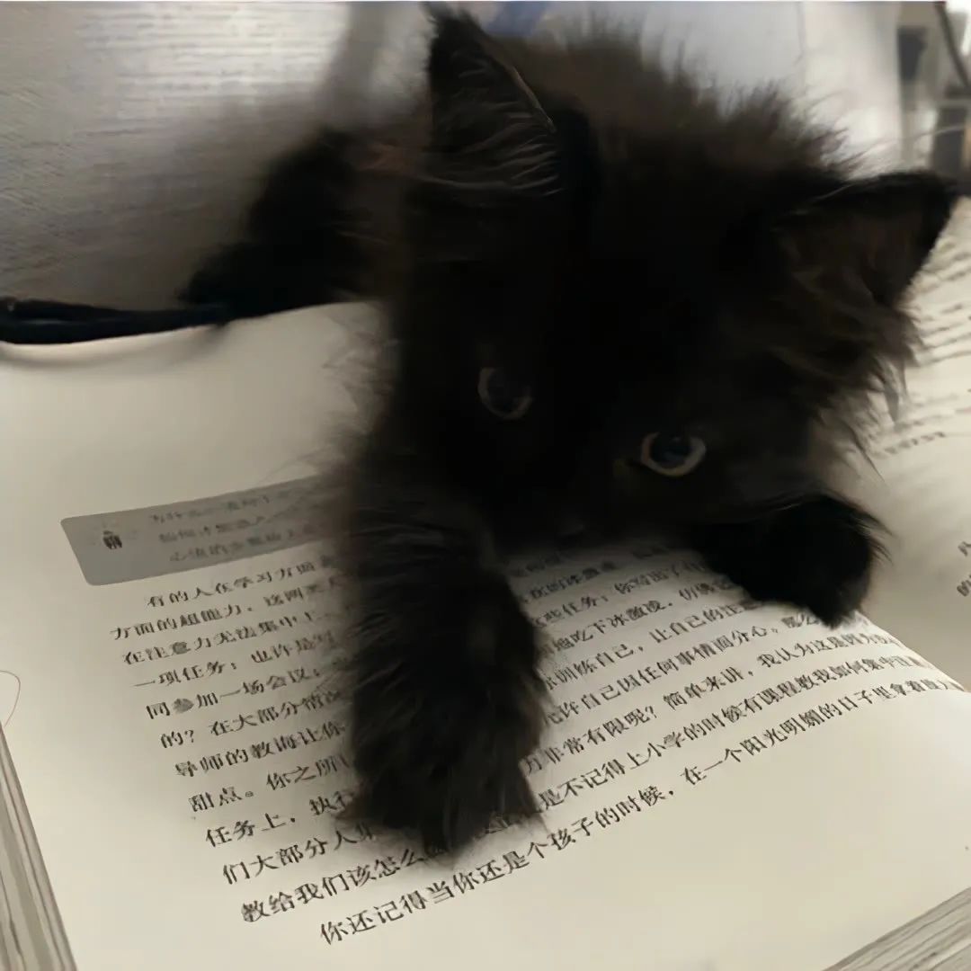 微信朋友圈背景图高级氛围感,朋友圈背景图看置顶