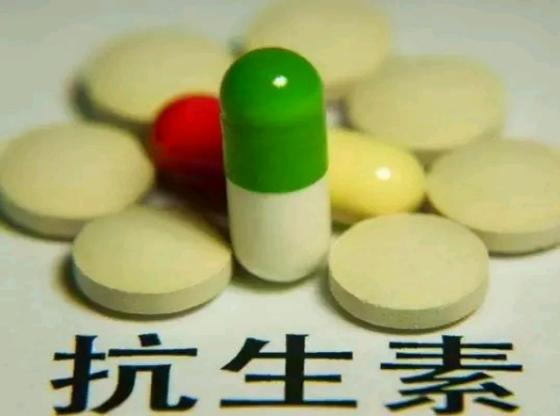 “阿莫西林”要认清，只对这4种病有效，乱用、滥用或对身体有害