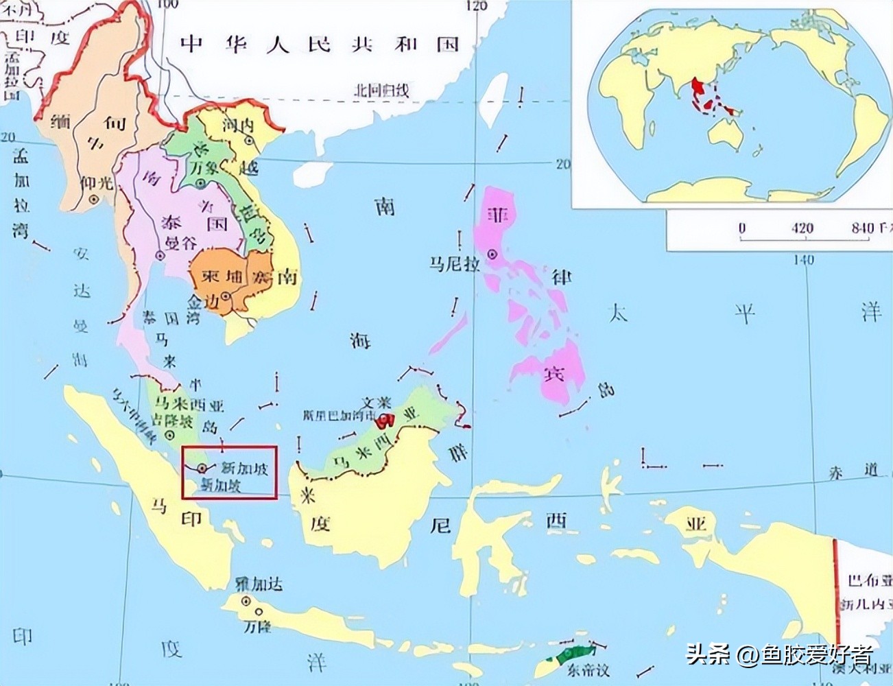 哪款鱼胶吃了对肺好,鱼胶哪些最好