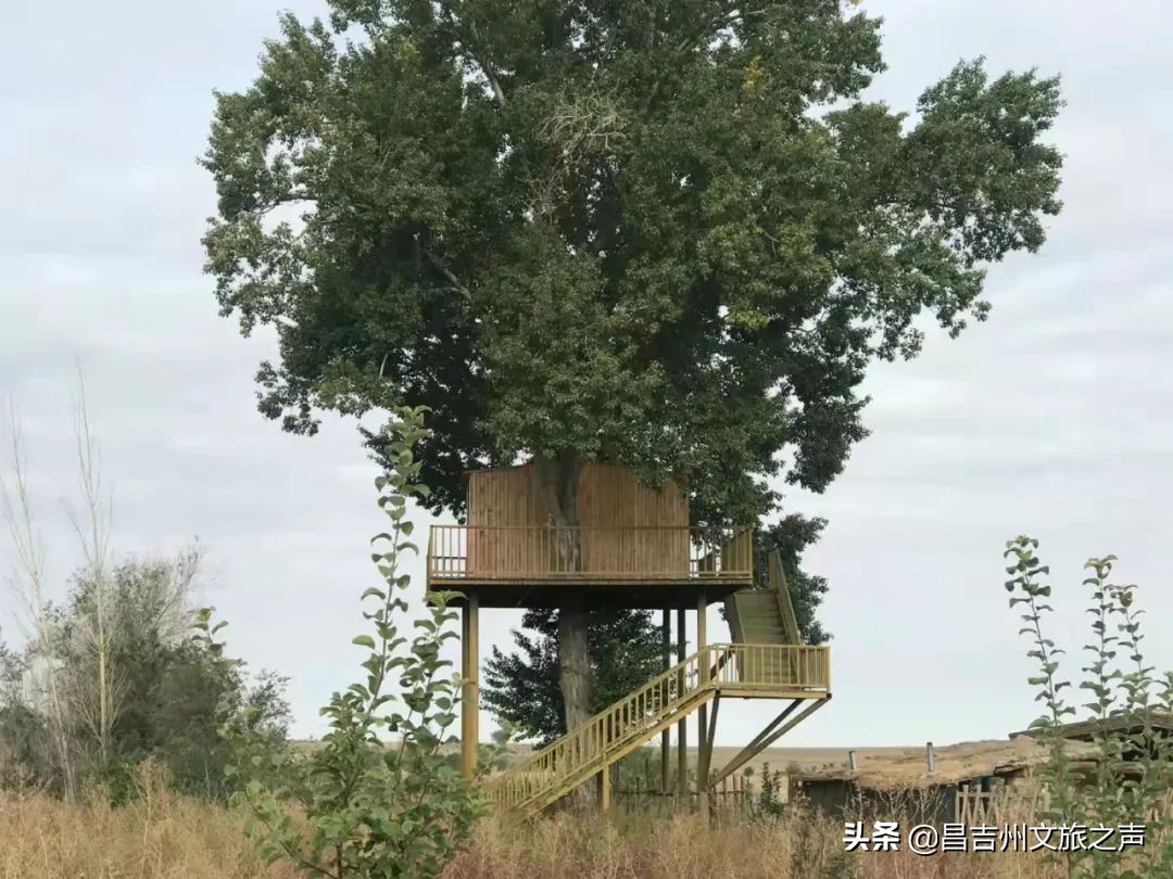 昌吉州木垒县简介,昌吉木垒县历史