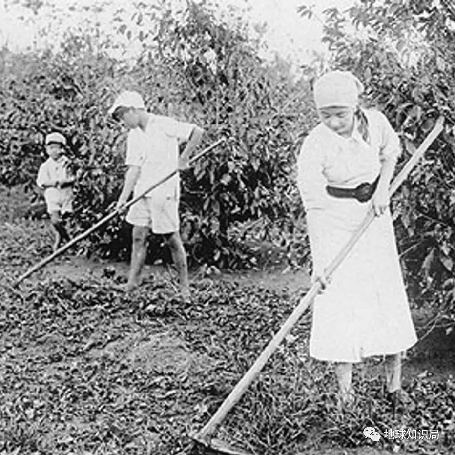 日本向巴西迁移了多少人了,日本向巴西发展