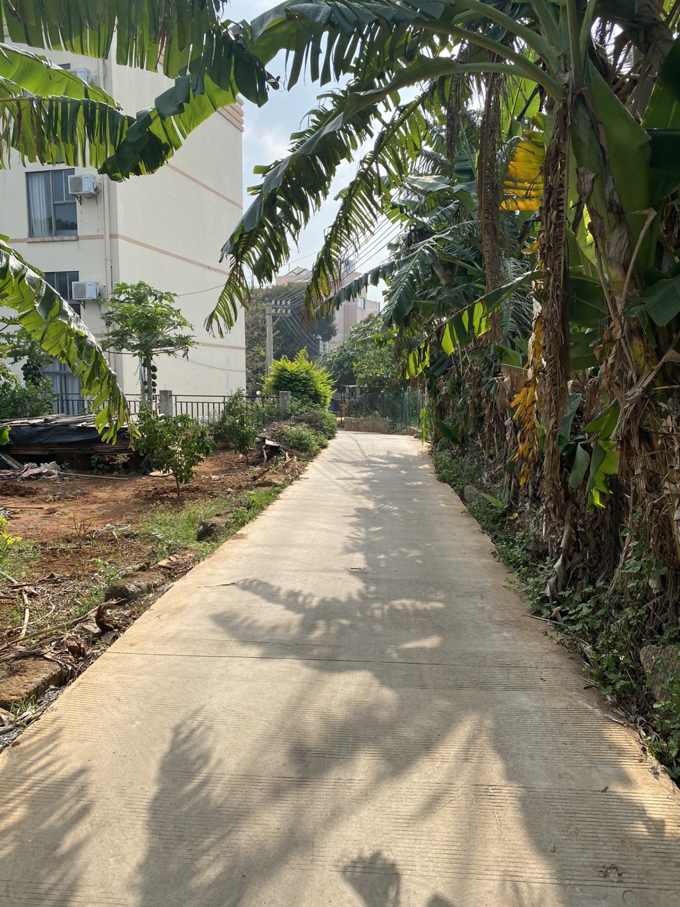 北海四天三晚住哪里最好,北海4天3晚详细攻略